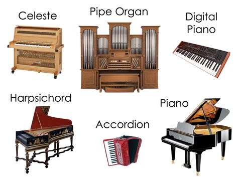 What Musical Family is the Piano In? Exploring the Keyboard's Unique Position in the World of Music